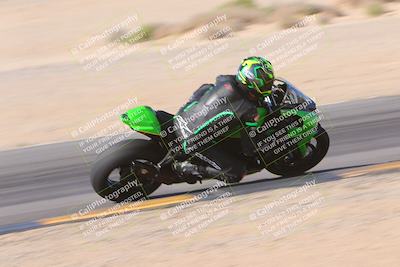 media/Nov-12-2023-SoCal Trackdays (Sun) [[5d1fba4e7d]]/Turn 9 Inside (1050am)/